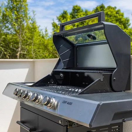 Aurelia 4 With Pool Linardići